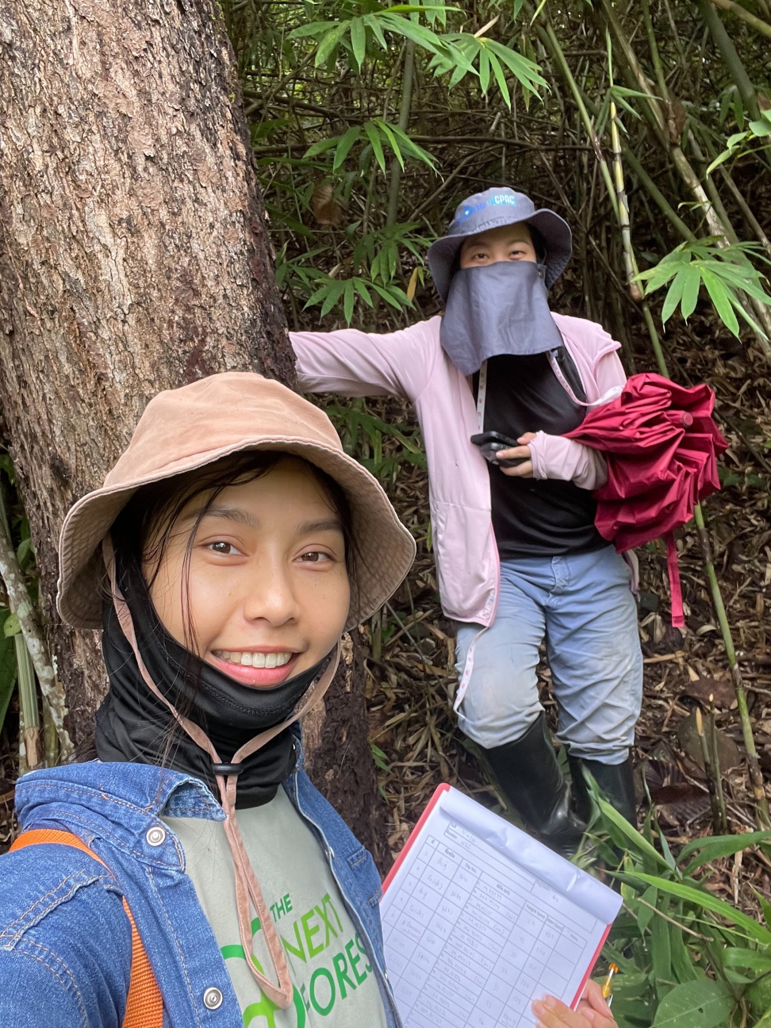 The next forest_1.jpg